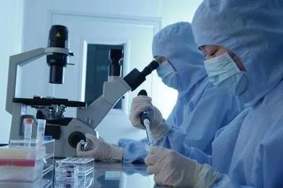 李逵還是李鬼？相似專業名稱辨析 生物技術與生物技術開發，2021年考生必讀