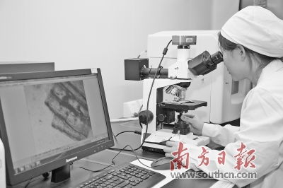 松山湖發(fā)力生物產(chǎn)業(yè) 精準(zhǔn)扶持生物技術(shù)開發(fā)，打造創(chuàng)新高地