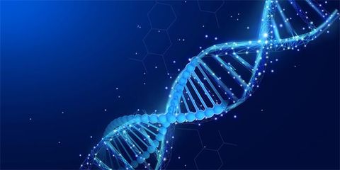 細(xì)胞與微生物的偶遇 DNA何時光被悄然讀取
